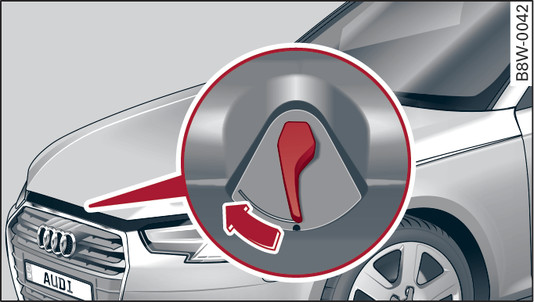 Fig. 296 Unlocked bonnet: Lever