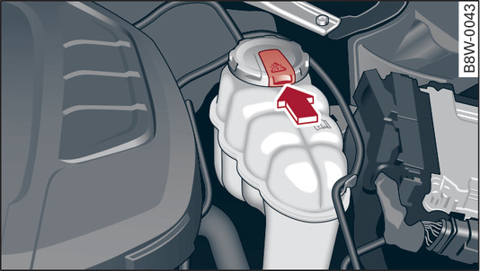 Fig. 299 Engine compartment: Release catch on coolant expansion tank cap (example)