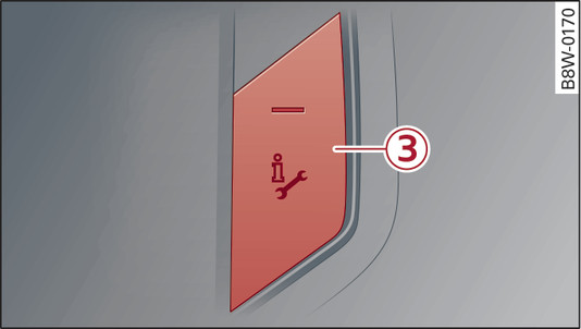 Fig. 216 Front headliner: Online roadside assistance call button