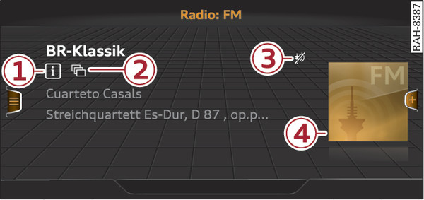Fig. 235 Radio view: Detailed station information