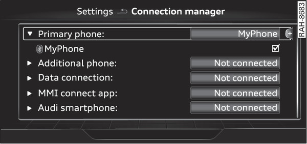 Fig. 254 Connection manager